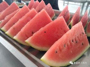 青县吃瓜最新事件爆料视频,揭秘最新爆料视频背后的惊人真相